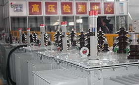 Distribution Transformer Voltage Regulation